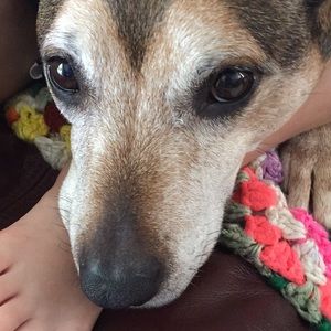 Meet your Posher, Chrissy